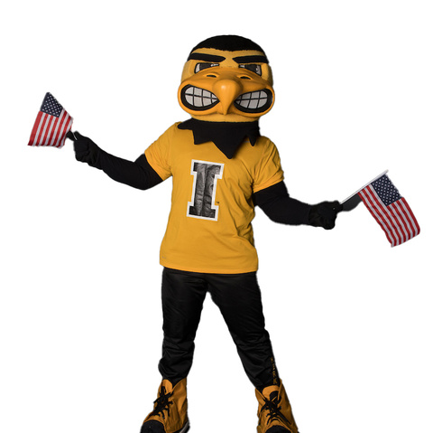 Herky flags.jpg