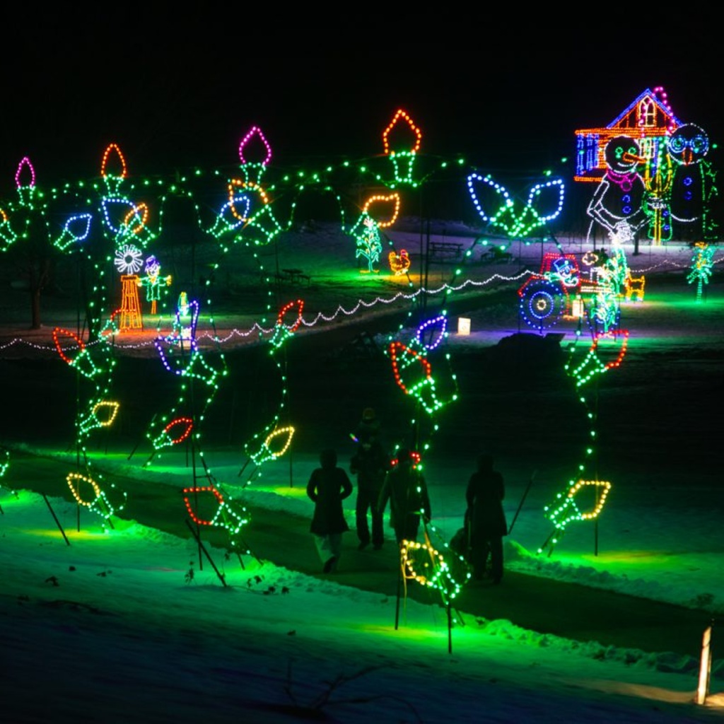 holiday lights