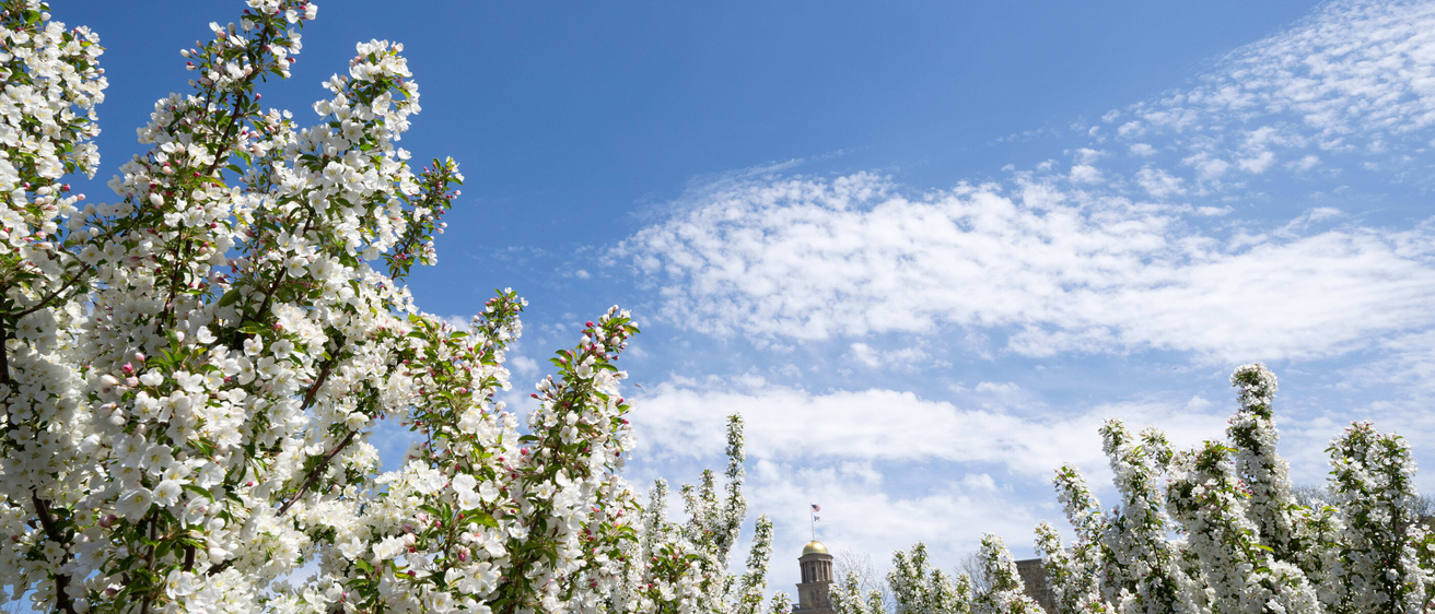 2024_04_23-Spring Campus-tschoon-057-medium.jpg