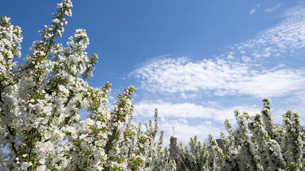 2024_04_23-Spring Campus-tschoon-057-medium.jpg